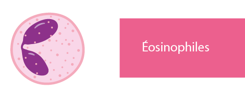éosinophiles