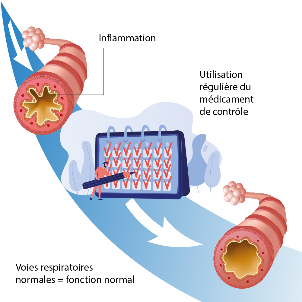 medicaments de controle